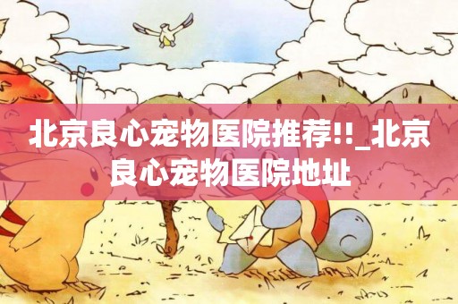 北京良心寵物醫院推薦!!_北京良心寵物醫院地址