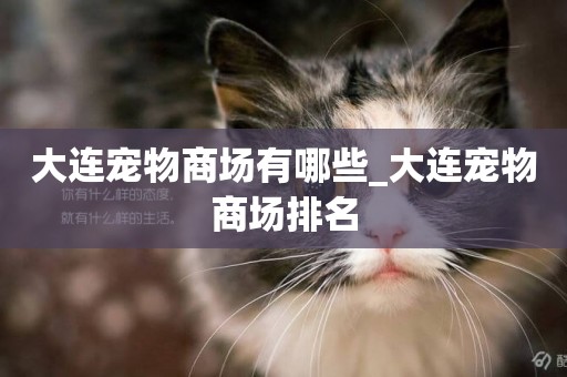 大連寵物商場有哪些_大連寵物商場排名