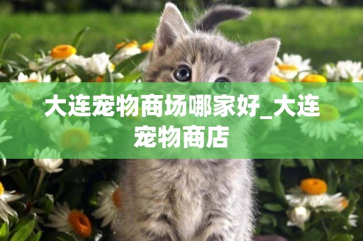 大連寵物商場哪家好_大連寵物商店