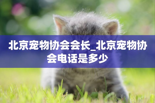 北京寵物協會會長_北京寵物協會電話是多少