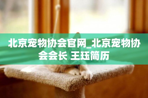 北京寵物協會官網_北京寵物協會會長 王玨簡歷