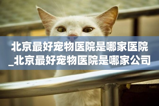 北京最好寵物醫院是哪家醫院_北京最好寵物醫院是哪家公司