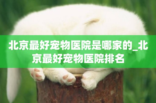 北京最好寵物醫院是哪家的_北京最好寵物醫院排名
