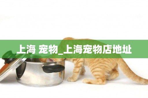 上海 寵物_上海寵物店地址