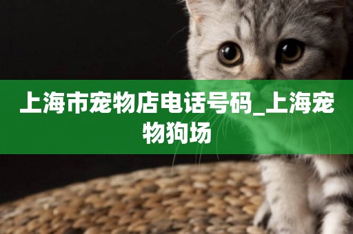 上海市寵物店電話號碼_上海寵物狗場