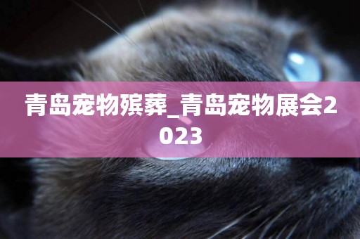 青島寵物殯葬_青島寵物展會2023