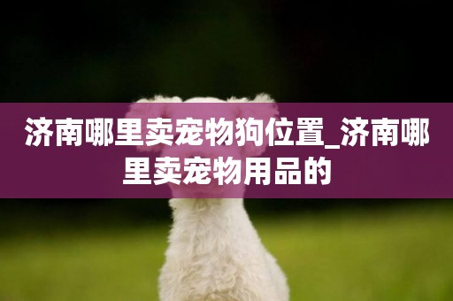 濟南哪里賣寵物狗位置_濟南哪里賣寵物用品的