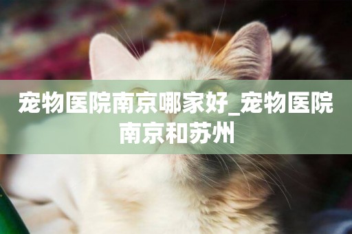 寵物醫院南京哪家好_寵物醫院南京和蘇州