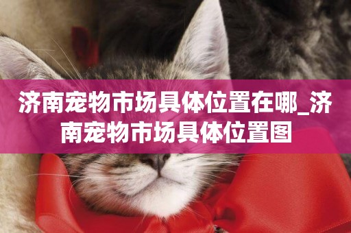 濟南寵物市場具體位置在哪_濟南寵物市場具體位置圖