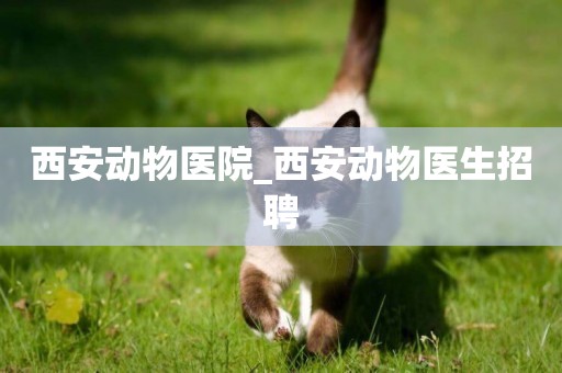 西安動物醫院_西安動物醫生招聘
