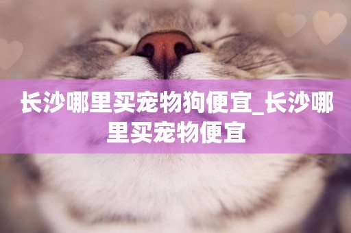 長沙哪里買寵物狗便宜_長沙哪里買寵物便宜