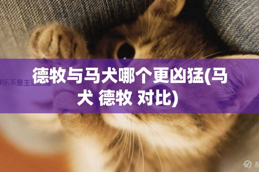 德牧與馬犬哪個更兇猛(馬犬 德牧 對比) 