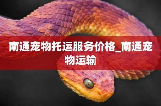 南通寵物托運服務價格_南通寵物運輸