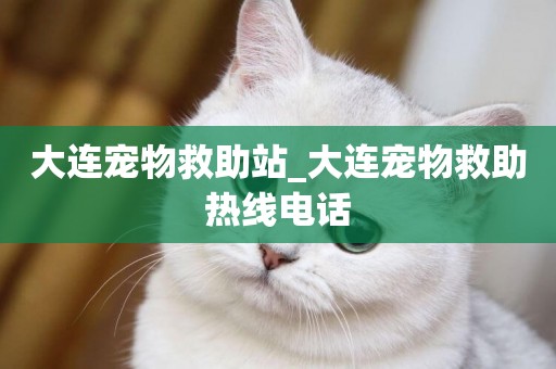 大連寵物救助站_大連寵物救助熱線電話