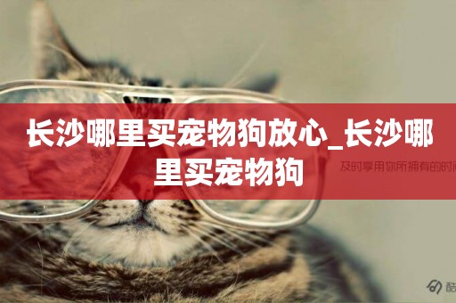 長沙哪里買寵物狗放心_長沙哪里買寵物狗