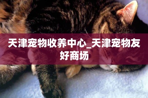 天津寵物收養中心_天津寵物友好商場