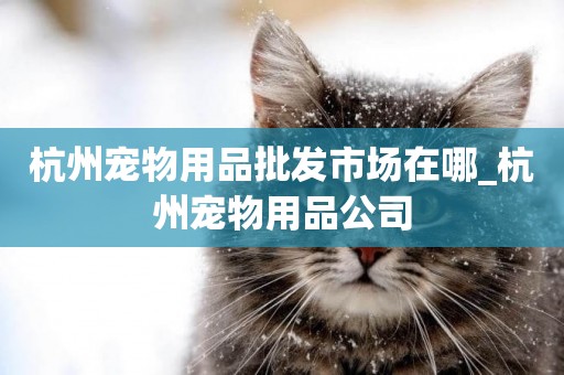 杭州寵物用品批發市場在哪_杭州寵物用品公司