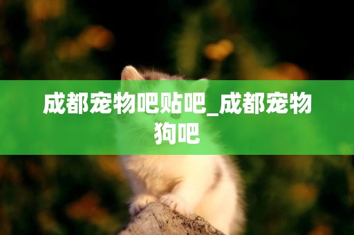 成都寵物吧貼吧_成都寵物狗吧