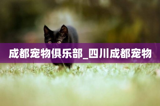 成都寵物俱樂部_四川成都寵物