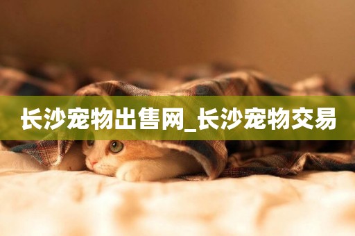 長沙寵物出售網_長沙寵物交易