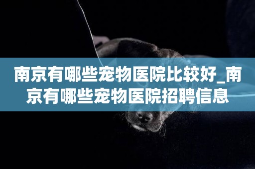 南京有哪些寵物醫院比較好_南京有哪些寵物醫院招聘信息