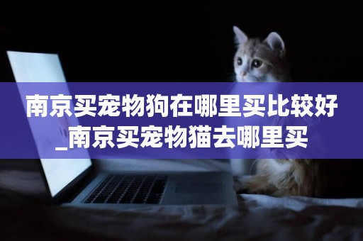 南京買寵物狗在哪里買比較好_南京買寵物貓去哪里買