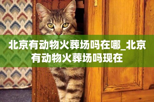 北京有動物火葬場嗎在哪_北京有動物火葬場嗎現在