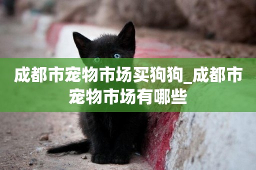 成都市寵物市場買狗狗_成都市寵物市場有哪些