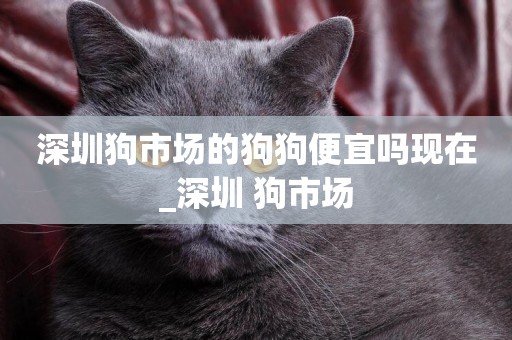 深圳狗市場的狗狗便宜嗎現在_深圳 狗市場