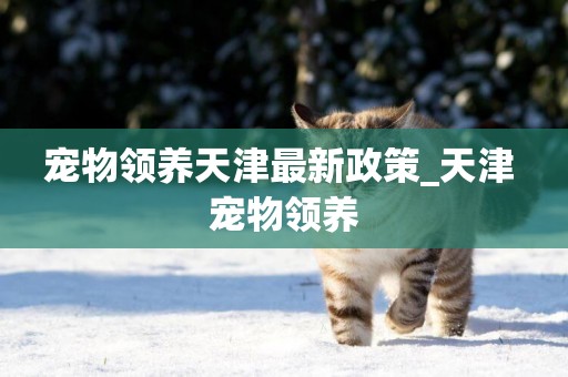 寵物領養天津最新政策_天津 寵物領養
