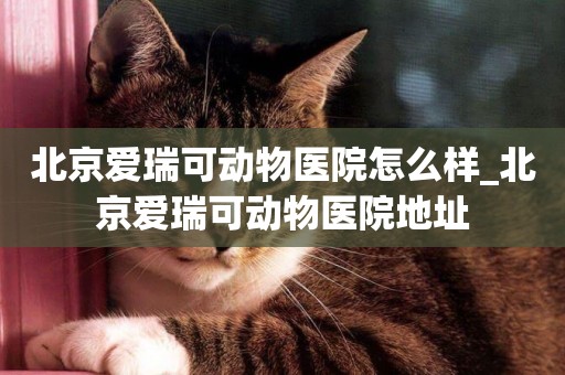北京愛瑞可動物醫院怎么樣_北京愛瑞可動物醫院地址