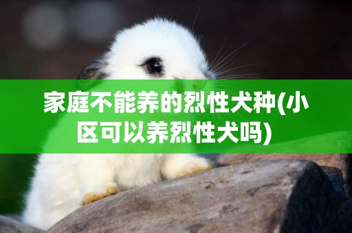 家庭不能養的烈性犬種(小區可以養烈性犬嗎) 