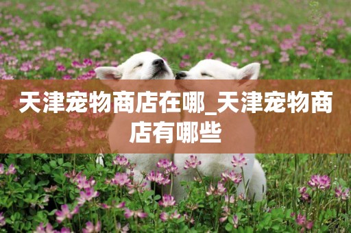 天津寵物商店在哪_天津寵物商店有哪些