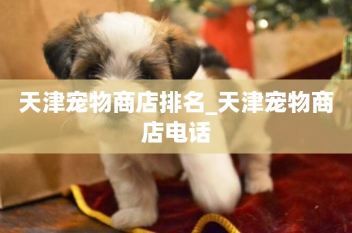 天津寵物商店排名_天津寵物商店電話