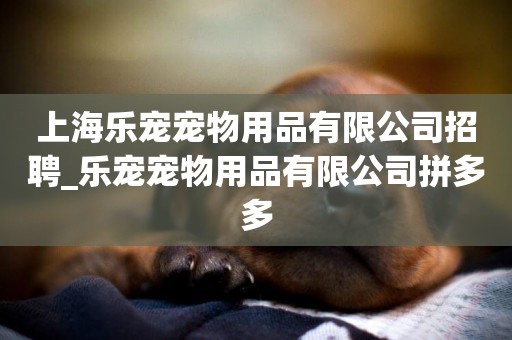 上海樂寵寵物用品有限公司招聘_樂寵寵物用品有限公司拼多多