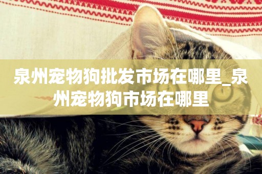 泉州寵物狗批發市場在哪里_泉州寵物狗市場在哪里