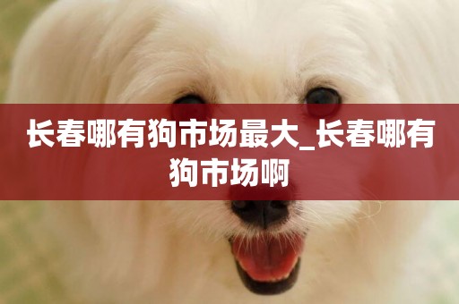 長春哪有狗市場最大_長春哪有狗市場啊