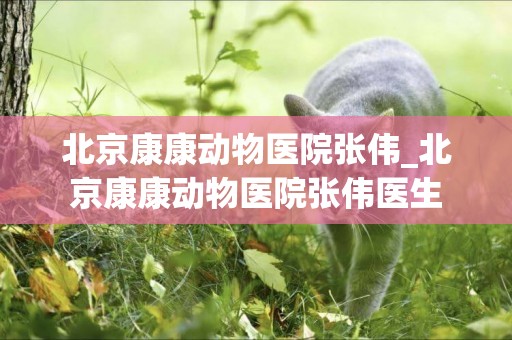 北京康康動物醫院張偉_北京康康動物醫院張偉醫生