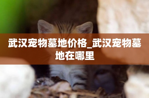 武漢寵物墓地價格_武漢寵物墓地在哪里