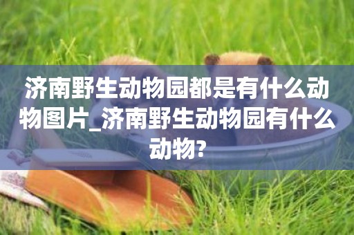 濟南野生動物園都是有什么動物圖片_濟南野生動物園有什么動物?