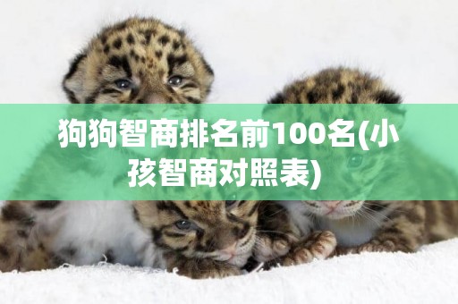 狗狗智商排名前100名(小孩智商對照表) 