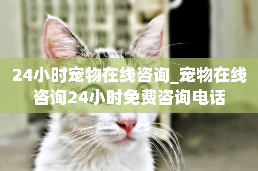 24小時寵物在線咨詢_寵物在線咨詢24小時免費咨詢電話