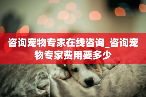 咨詢寵物專家在線咨詢_咨詢寵物專家費用要多少