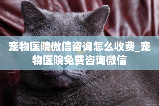 寵物醫院微信咨詢怎么收費_寵物醫院免費咨詢微信