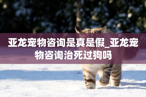 亞龍寵物咨詢是真是假_亞龍寵物咨詢治死過狗嗎