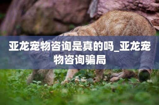 亞龍寵物咨詢是真的嗎_亞龍寵物咨詢騙局