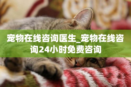 寵物在線咨詢醫生_寵物在線咨詢24小時免費咨詢