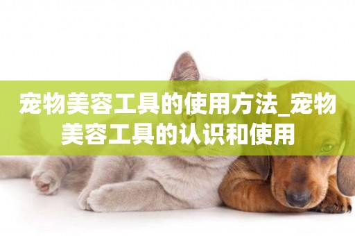 寵物美容工具的使用方法_寵物美容工具的認識和使用