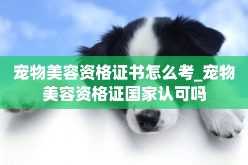 寵物美容資格證書怎么考_寵物美容資格證國家認可嗎