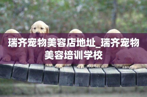 瑞齊寵物美容店地址_瑞齊寵物美容培訓學校